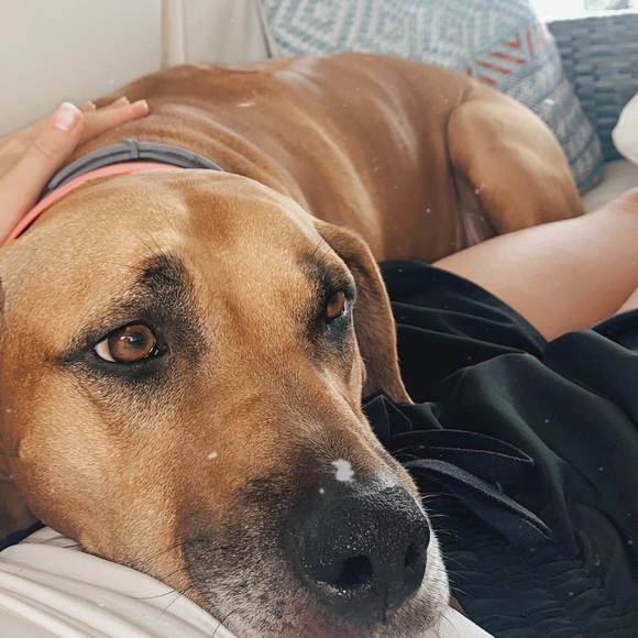 Meet your Posher, Kaila - Picture 1 of 1